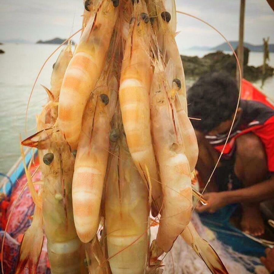 Koh Phaluai Bangalow *